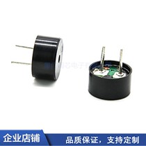 New product 3v5Vpp AC 0942 Passive small buzzer miniature black alarm plugin 16R euro diameter 9 horn