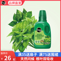 Melody green dill special nutrient solution concentrated fertilizer indoor potted plant Office green plant household fertilizer