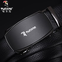 Woodpecker belt mens casual first layer leather trend automatic buckle belt young official flagship store