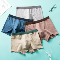 4 boxed mens underwear comfortable air - breathable cotton flat pants fashion printing high school students developmental boys