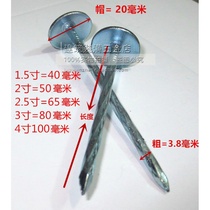 Asbestos tile nails Corrugated nails tacks Color steel tile nails pushpins 2 inch 2 5 inch 3 inch 4 inch a box of 20 packs