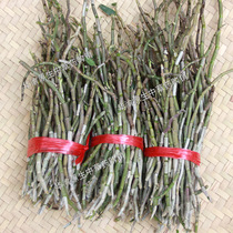Dendrobium candidum fresh Dendrobium candidum fresh strips Dendrobium edible 500g