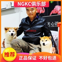 Dog owners online training remote coaching owners to manage the dogs at home