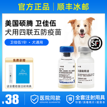 Imported American Pfizer Shujia 5 Pet Dog General Weijia Five Puppies into a dog Weijiau Vaccine 1 bottle