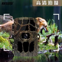 Kelusi Corus KA600 catch pat on camera face grab camera Smart Guard camera