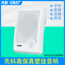 Xianke A2 wall-mounted sound constant pressure and constant resistance background music speaker Campus public broadcasting series Ceiling speaker set