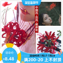 ] Bana simulation flower fake flower long branch Manzhu Shahua red lycopene fake flower Ancient Hanfu photo