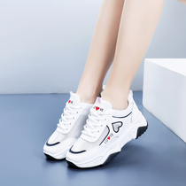 Old Daddy Shoes Women Hong Kong Hollowed-out 2021 Summer New Tennis Shoes Breathable Sneakers 100 Lap Net Face Little White Shoes Woman
