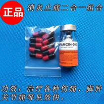 Cockfighting medicine cockfighting training supplies Thailand cockfighting medicine cockfighting training cockfighting supplies