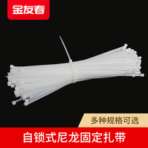 Jin Youchun self-locking nylon cable tie 4*200 5*300mm cable tie Fixed plastic strap buckle