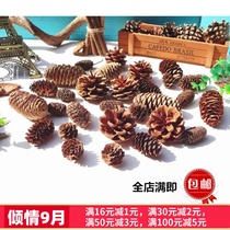 Pine Cone Wood Chip Natural Dried Flower Pine Lotus Pine Eternal Flower Pine Fruit Nature Shooting Props Mori