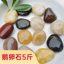 Nanjing Yuhua stone original stone natural pebbles succulent pavement fish tank decorative flower potted five-color small stones