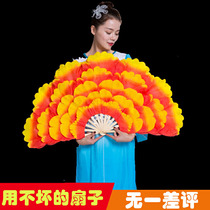 Dance fan dancing fan adult peony flower fan children double-sided large petals bamboo bone props square twist Yangko fan