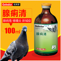 Glad pigeon medicine Daquan Common diseases Escherichia coli Salmonella adenovirus antidiarrheal water green pigeon medicine