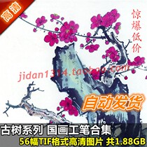 National Painting High-definition Pictures Ancient Tree Series With 56 full set of water ink flower bird design material drawing in imitation spray painting