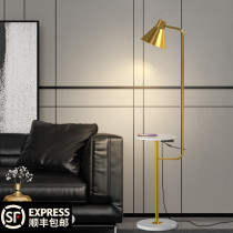 Nordic floor lamp Living room sofa coffee table Bedroom headboard Simple creative ins light luxury post-modern floor lamp