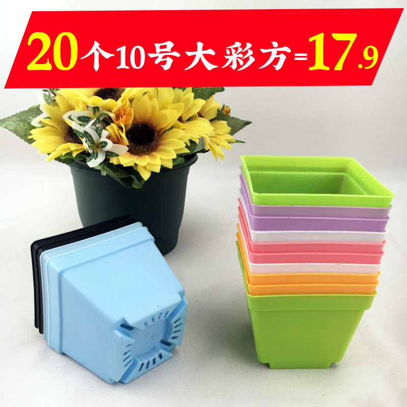 * Large multi-meat large pot special price clearance in large multi-meat pot with color square 10cm plastic flowerpot