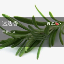 The rosemary is a good one