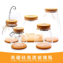 marimo seaweed ball micro landscape wishing bottle ecological bottle cork glass bottle sealed jar hydroponic plant vase