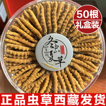 Cordyceps Flagship Store Cordyceps 50g Dry Cordyceps Gift Gift 10g Gift Box