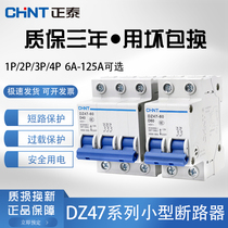 Chint Air Switch Household Air Open Circuit Breaker 2P Main Switch Power Off Protector DZ47 Short Circuit Switch