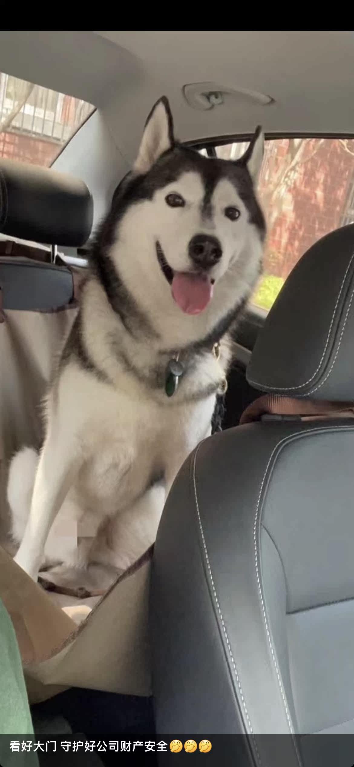 巅峰1700狗零食值得买吗?巅峰1700狗零食怎么样？