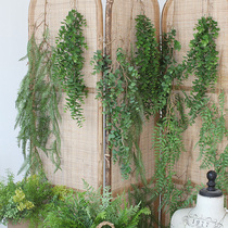 Sicilian Simulation Vines Money Leaf Fern Leaf Fern Vine Wall Pendant Wall-mounted Plant Air Conditioning Tube Decoration Grass