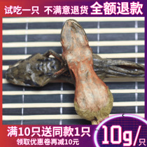  (Buy 10 get 1 free)Changbai Mountain whole snow clam dried 10 grams of Northeast forest frog dried snow clam oil hash ant