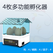 Water bed incubator electric automatic box breeding egg holding device floating artificial hatching duck goose hatching small double piece