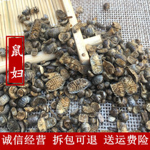 Rat woman insect Chinese herbal medicine Wild rat woman insect Damp insect ground lice Wet insect Watermelon worm dried 50 grams sulfur-free