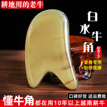 Xinxuan deep mouth massage scraping Board white buffalo horn round face massage whole body universal facial scraping film