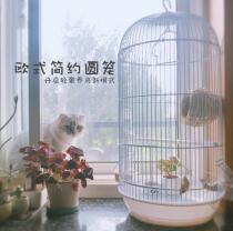  Large breeding cage door wire round starling cage Red-billed mountain crow parrot cage Plug-in extra large iron bird cage bird cage