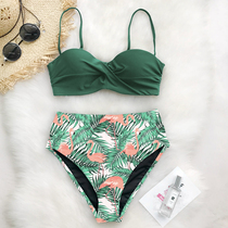 Sexy Bikini Swimsuit Swimming Suit for Women Beachwear set
