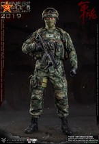 (In stock)FLAGSET FS-73034 16 70th Anniversary Special Edition-PLA Army 2019