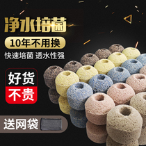Aquarium fish tank filter material ceramic ring bacterial house water purification cube nano quartz ball filter material Activated carbon