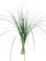 Steel needle grass with grass with leaves with flowers high grade flower material with leaves