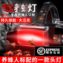 Red headlights three light sources super bright and strong light long-range flashlight search bees honey bees special bee lights