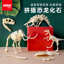 HIDD dinosaur fossil archaeological excavation toy simulation skeleton assembly model decoration Childrens DIY handmade