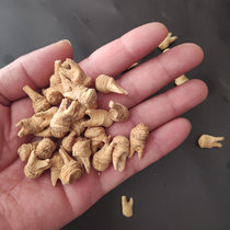 Yang ginseng small grain tooth ginseng ginseng northeast wild ginseng Flower Flag Ginseng American ginseng tooth ginseng 500g