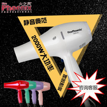 Fire Phoenix negative ion hair dryer 5601A high-power styling barber shop hair salon dedicated silent hot and cold