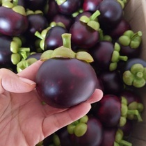 Aggravated high simulation mangosteen model simulation fruit vegetable model fruit shop fake fruit decoration ornaments