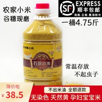 Millet Shanxi farm yellow millet moon rice Xinzhou small yellow rice barrel pregnant baby millet porridge food