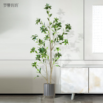 Roman Mom Living Room Fake Plant Potted Sofa Xuan Guan Decorative Nordic Indoor Large Simulation Greenplant Horse Drunk Wood