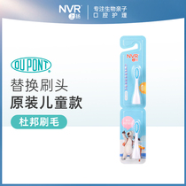 Beibei up nvr childrens sonic electric toothbrush head (Y002 model) 2 sets