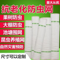 40 60 mesh thickened mesh gauze net breeding net anti-mosquito window pig factory with anti-mosquito net sand net isolation net