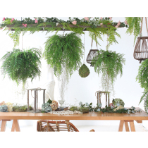  Sicilian simulation fern leaf grass ball hanging shop window decoration green plant hanging plant decoration Hotel restaurant