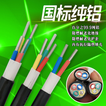 National Label Wire & Cable VLV 2 3 4 Core 4 6 squared aluminium core flame retardant sheath wire three-phase four-wire frame empty line