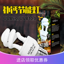 nomo energy-saving UVB lamp reptile 10 0 rainforest tortoise lizard guard succulent plant ultraviolet sun calcium supplement