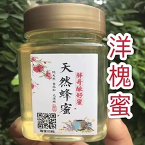 (Fat Bee Garden) buy two free one farmers home-grown natural wild Sophora honey mature honey 500g