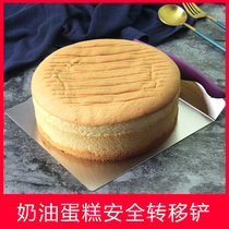  Baking tools Stainless steel shovel Cake safety transfer device Pancake shovel Pizza shovel Pallet Trowel cutter